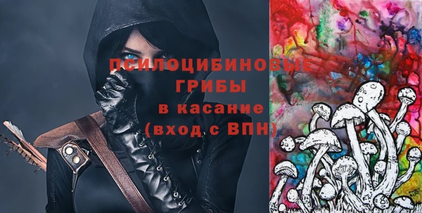 сатива Абаза
