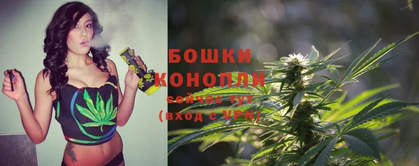 сатива Абаза